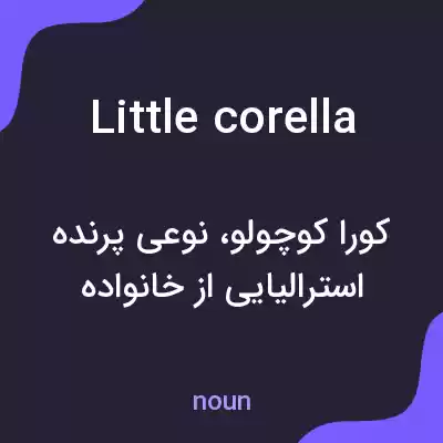معنی little corella به فارسی