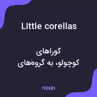 معنی little corellas به فارسی