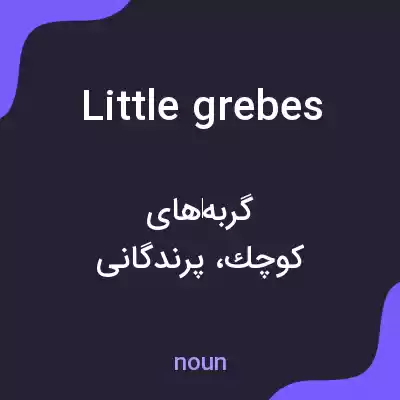معنی little grebes به فارسی معنی little grebes به فارسی