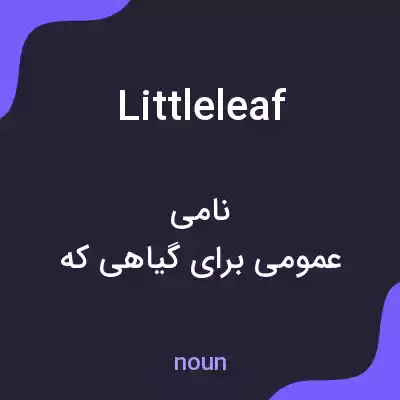 معنی littleleaf به فارسی معنی littleleaf به فارسی