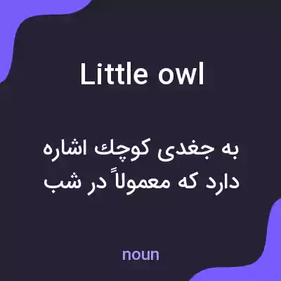 معنی little owl به فارسی معنی little owl به فارسی