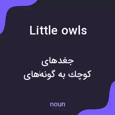 معنی little owls به فارسی معنی little owls به فارسی