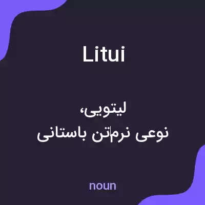 معنی litui به فارسی معنی litui به فارسی