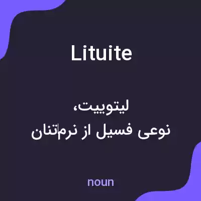 معنی lituite به فارسی معنی lituite به فارسی