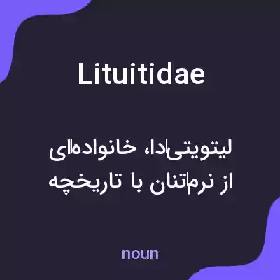 معنی lituitidae به فارسی معنی lituitidae به فارسی