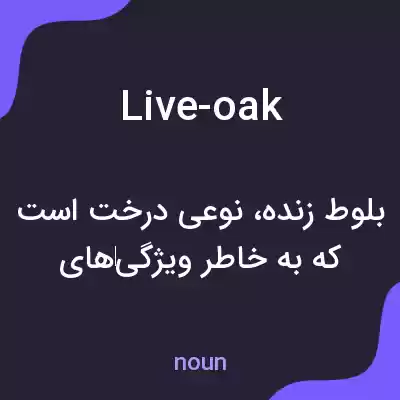 معنی live-oak به فارسی معنی live-oak به فارسی