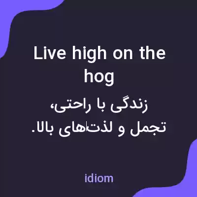 معنی live high on the hog به فارسی معنی live high on the hog به فارسی