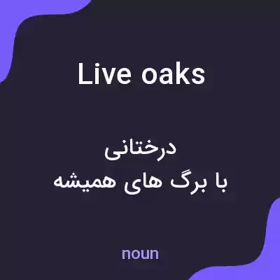 معنی live oaks به فارسی معنی live oaks به فارسی