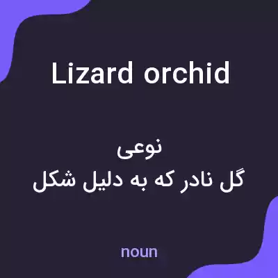 معنی lizard orchid به فارسی معنی lizard orchid به فارسی