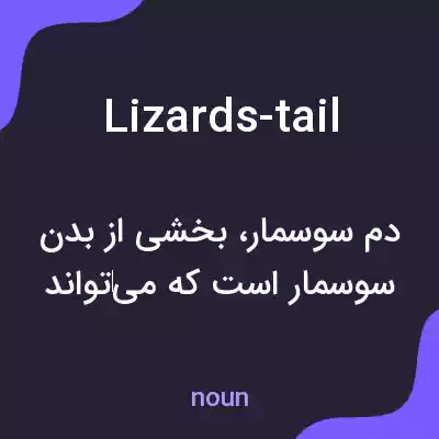 معنی lizards-tail به فارسی معنی lizards-tail به فارسی