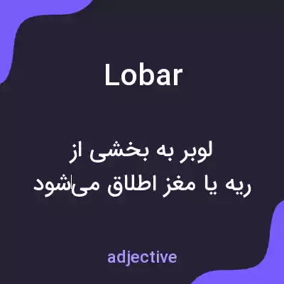 معنی lobar به فارسی معنی lobar به فارسی