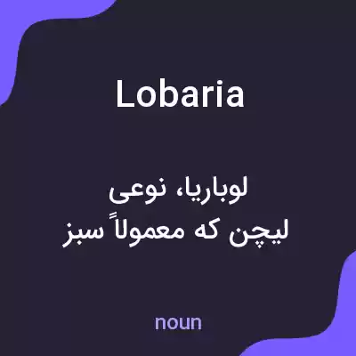 معنی lobaria به فارسی معنی lobaria به فارسی