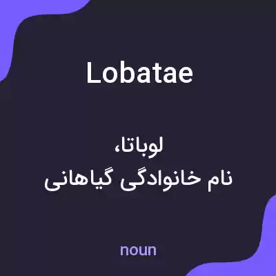 معنی lobatae به فارسی معنی lobatae به فارسی