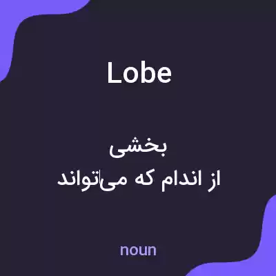 معنی lobe به فارسی معنی lobe به فارسی