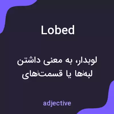 معنی lobed به فارسی معنی lobed به فارسی