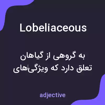 معنی lobeliaceous به فارسی معنی lobeliaceous به فارسی