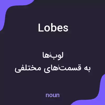 معنی lobes به فارسی معنی lobes به فارسی