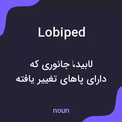 معنی lobiped به فارسی معنی lobiped به فارسی