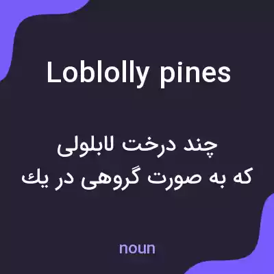 معنی loblolly pines به فارسی معنی loblolly pines به فارسی