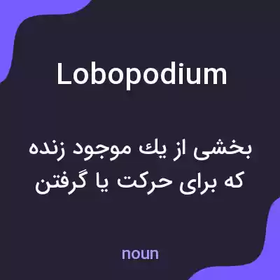 معنی lobopodium به فارسی معنی lobopodium به فارسی