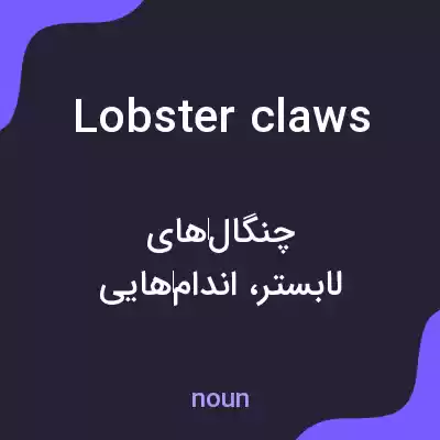 معنی lobster claws به فارسی معنی lobster claws به فارسی