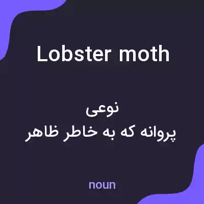 معنی lobster moth به فارسی معنی lobster moth به فارسی