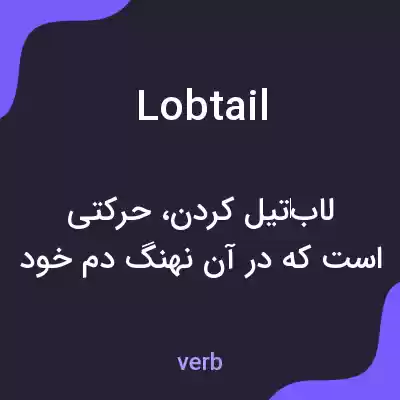 معنی lobtail به فارسی معنی lobtail به فارسی