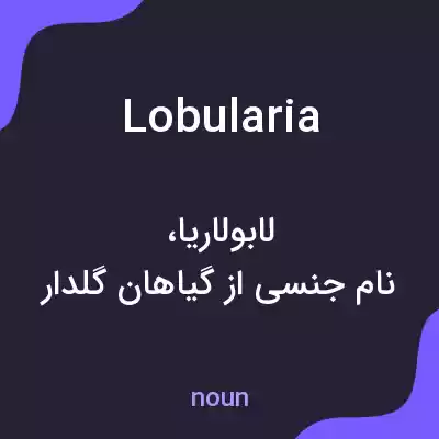 معنی lobularia به فارسی معنی lobularia به فارسی