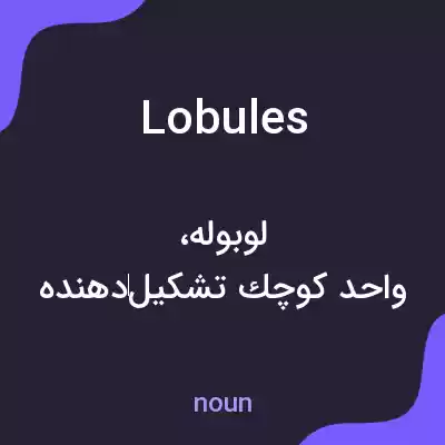 معنی lobules به فارسی معنی lobules به فارسی