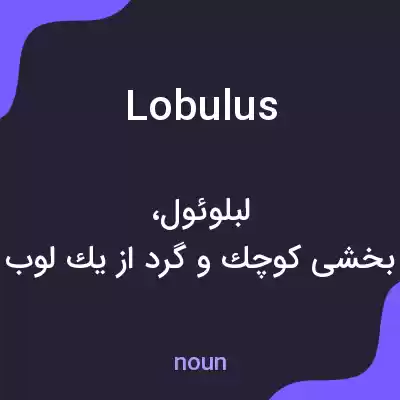 معنی lobulus به فارسی معنی lobulus به فارسی