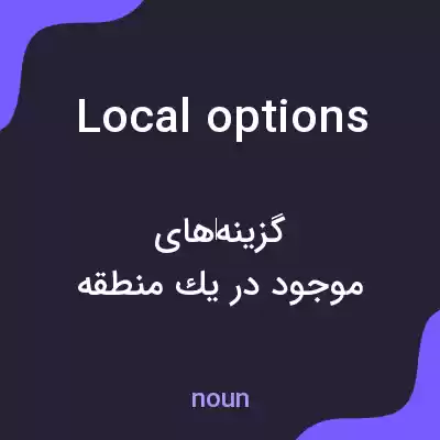 معنی local options به فارسی معنی local options به فارسی