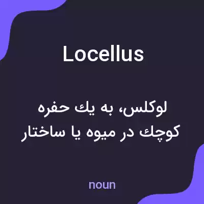 معنی locellus به فارسی معنی locellus به فارسی