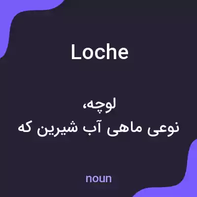 معنی loche به فارسی معنی loche به فارسی