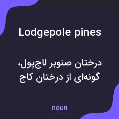 معنی lodgepole pines به فارسی معنی lodgepole pines به فارسی