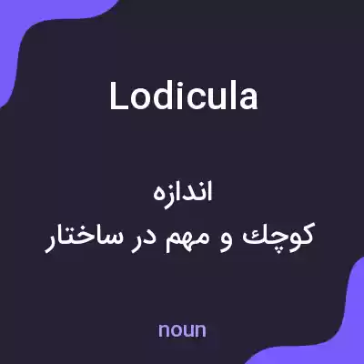 معنی lodicula به فارسی معنی lodicula به فارسی