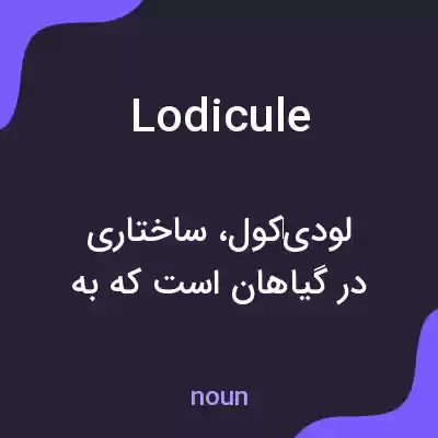 معنی lodicule به فارسی معنی lodicule به فارسی