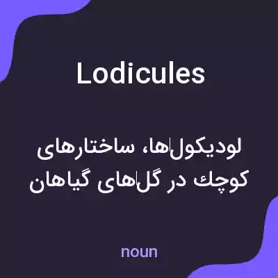 معنی lodicules به فارسی معنی lodicules به فارسی
