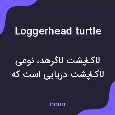 معنی loggerhead turtle به فارسی معنی loggerhead turtle به فارسی