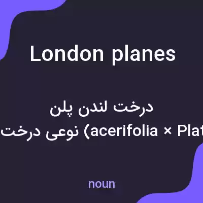 معنی london planes به فارسی معنی london planes به فارسی