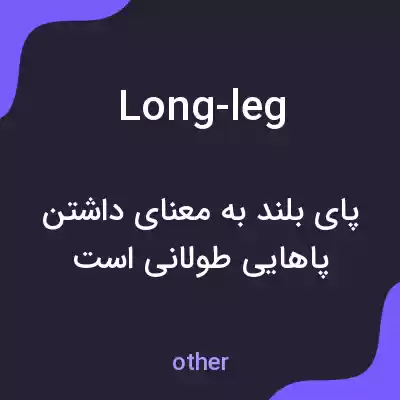 معنی long-leg به فارسی معنی long-leg به فارسی