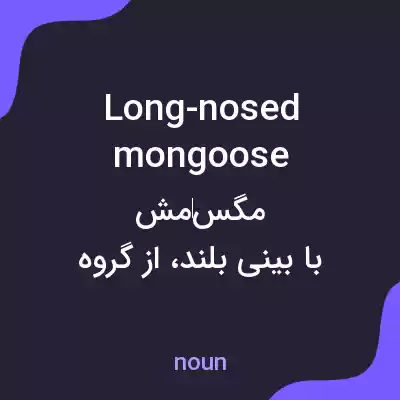 معنی long-nosed mongoose به فارسی معنی long-nosed mongoose به فارسی