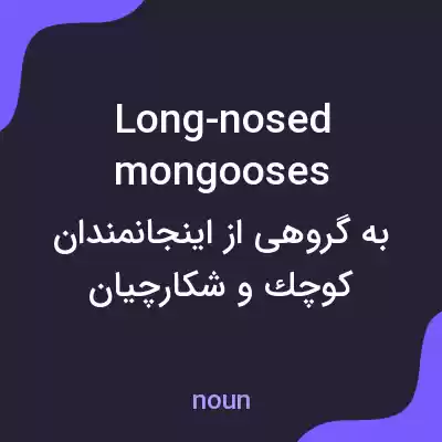 معنی long-nosed mongooses به فارسی معنی long-nosed mongooses به فارسی