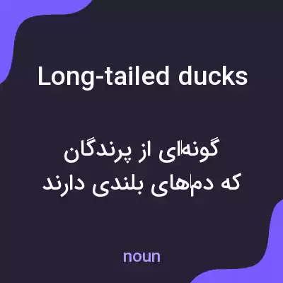 معنی long-tailed ducks به فارسی معنی long-tailed ducks به فارسی