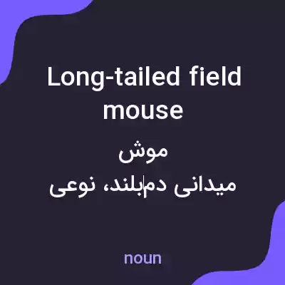 معنی long-tailed field mouse به فارسی معنی long-tailed field mouse به فارسی