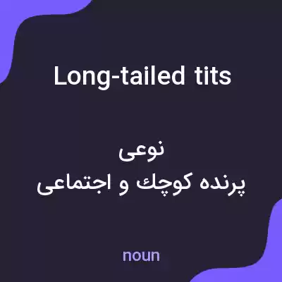 معنی long-tailed tits به فارسی معنی long-tailed tits به فارسی