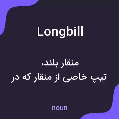 معنی longbill به فارسی معنی longbill به فارسی