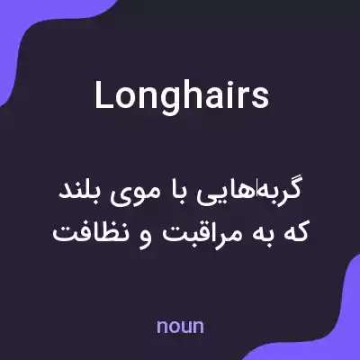معنی longhairs به فارسی معنی longhairs به فارسی