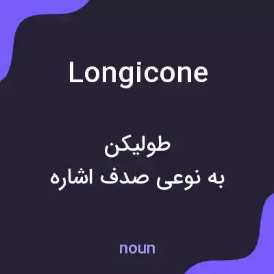 معنی longicone به فارسی معنی longicone به فارسی