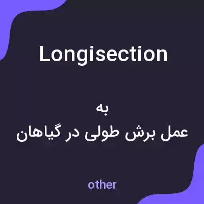 معنی longisection به فارسی معنی longisection به فارسی