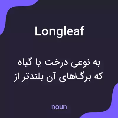 معنی longleaf به فارسی معنی longleaf به فارسی
